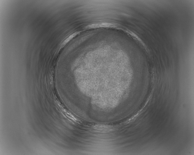 X0000080720921200701021050