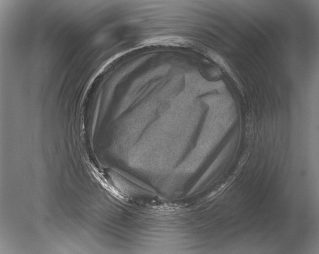 X0000080720923200701021050