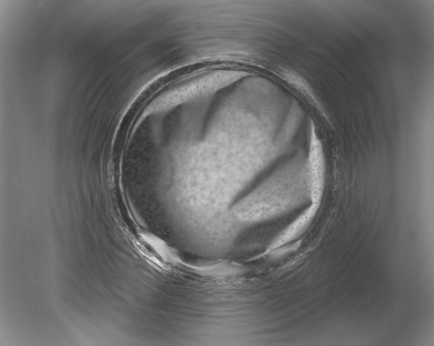 X0000080720924200701021050