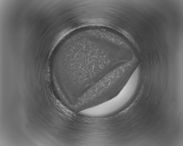 X0000080720926200701021050