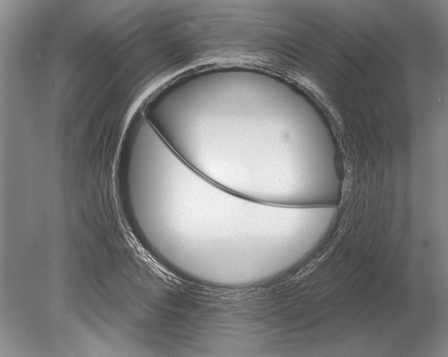 X0000080720928200701021050