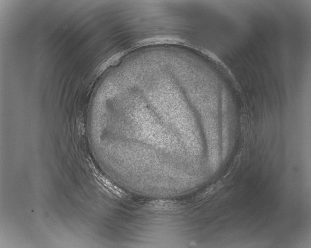 X0000080720929200701021050