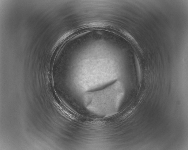 X0000080720930200701021050