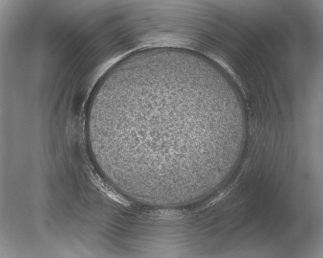 X0000080720933200701021050