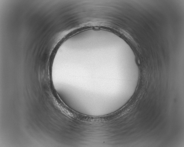 X0000080720934200701021050