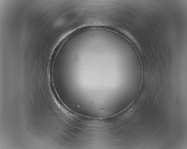 X0000080720935200701021050