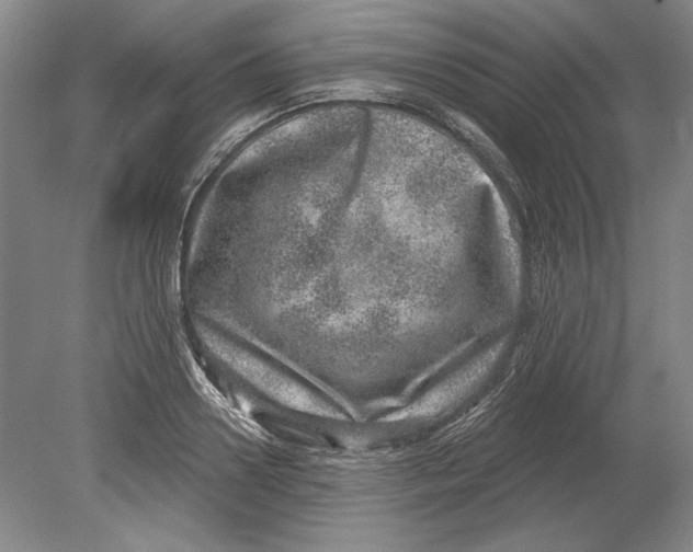 X0000080720938200701021050