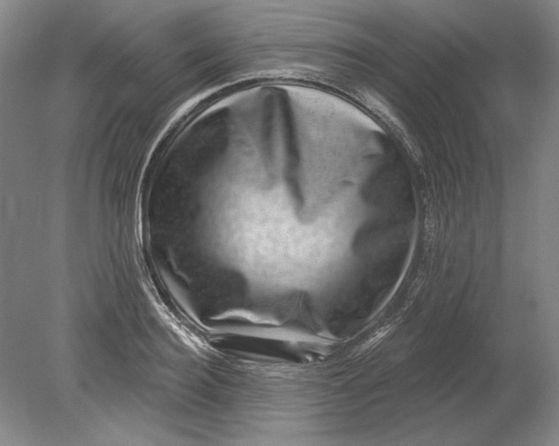 X0000080720940200701021050