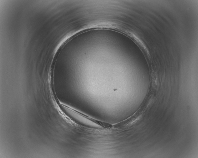 X0000080720944200701021050