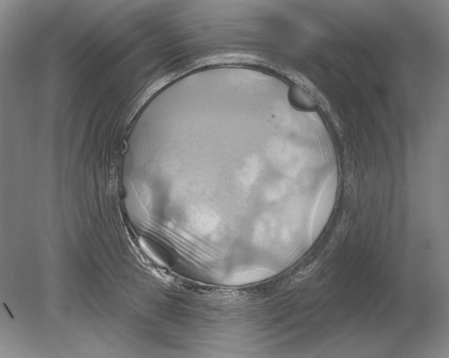 X0000080720945200701021050