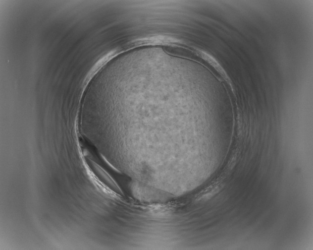 X0000080720946200701021051