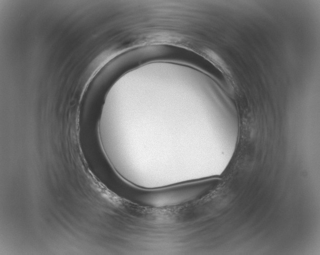 X0000080720948200701021051