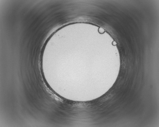 X0000080720950200701021051