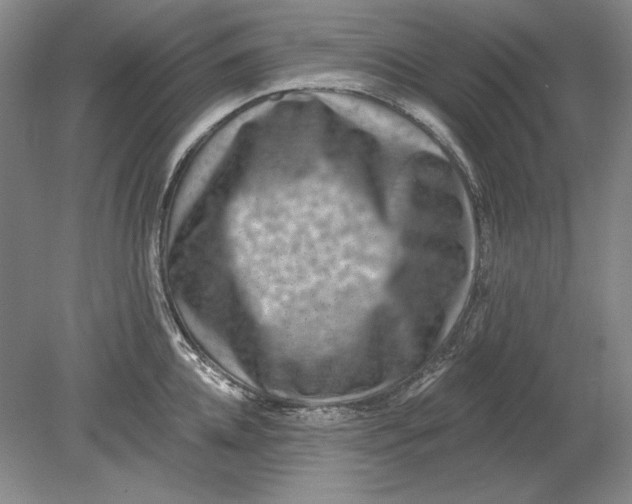 X0000080720952200701021051