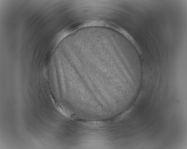 X0000080720953200701021051