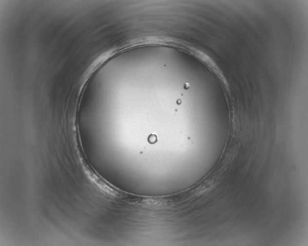 X0000080720954200701021051