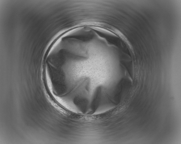 X0000080720955200701021051