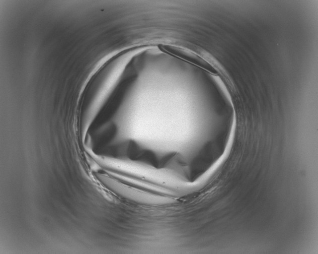 X0000080720956200701021051