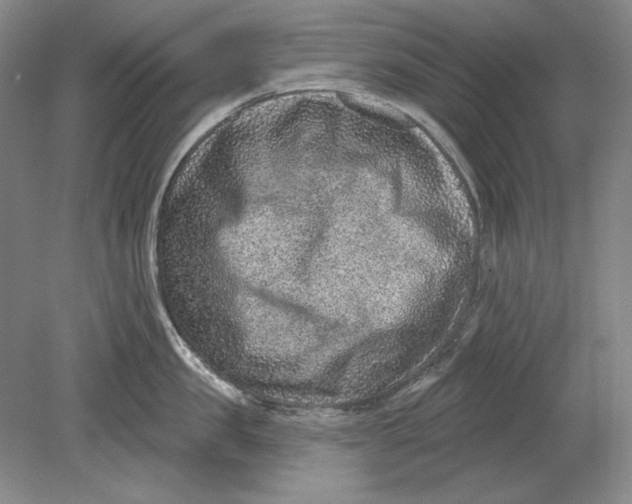 X0000080720957200701021051