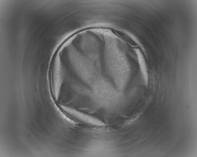 X0000080720959200701021051