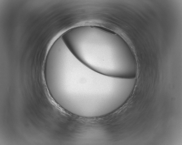 X0000080720960200701021051