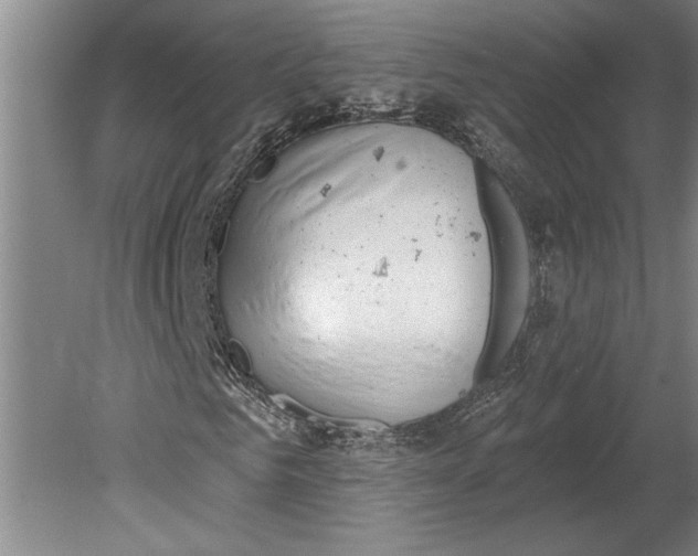 X0000080720961200701021050