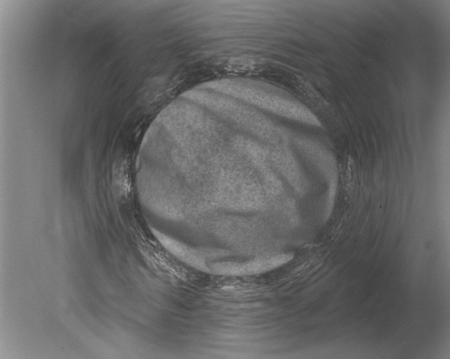 X0000080720962200701021050