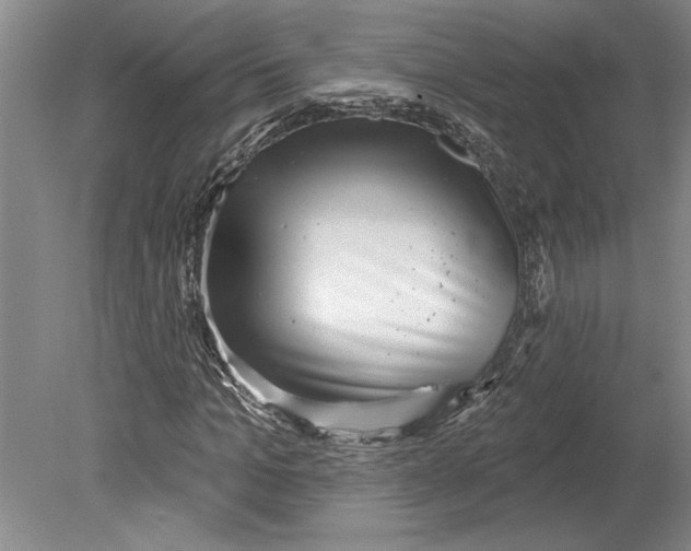 X0000080720965200701021050