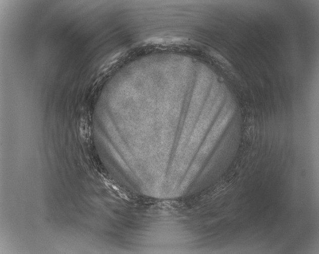 X0000080720966200701021050