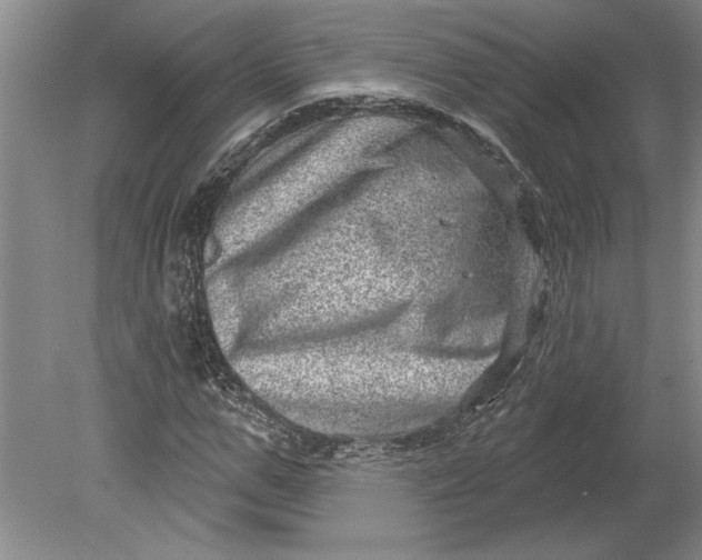 X0000080720967200701021050