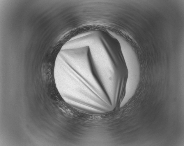 X0000080720968200701021050