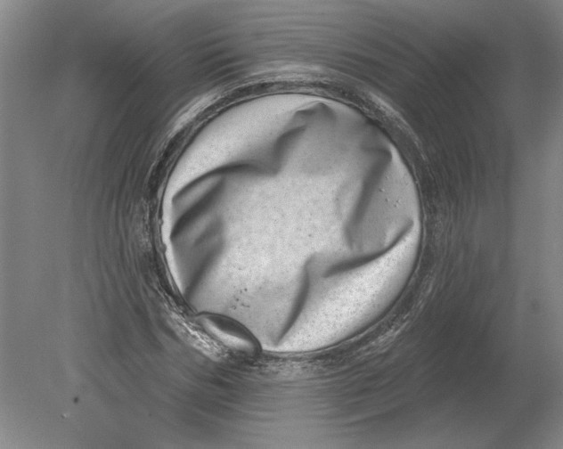 X0000080720970200701021050