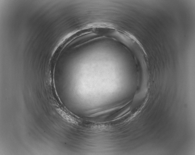 X0000080720973200701021050