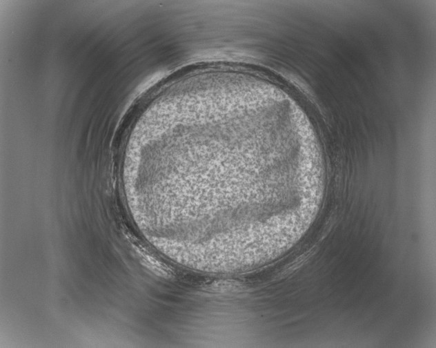 X0000080720974200701021050