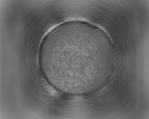 X0000080720975200701021050