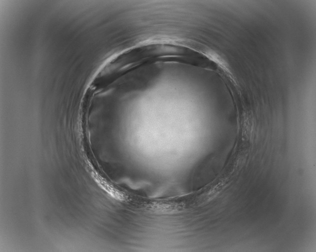 X0000080720976200701021050