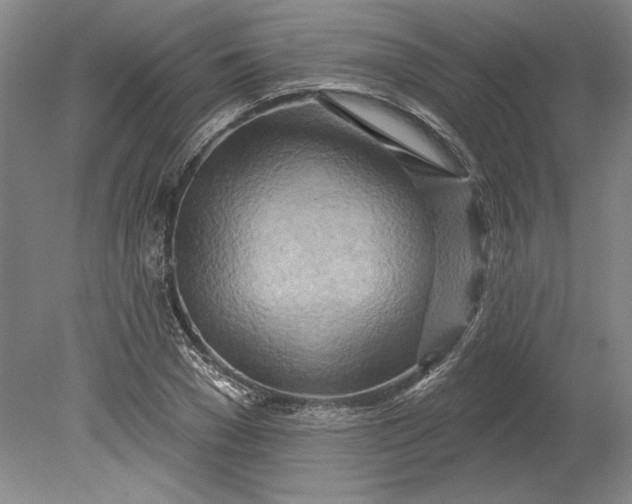 X0000080720977200701021050