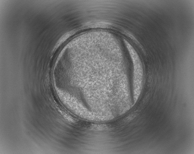 X0000080720978200701021050