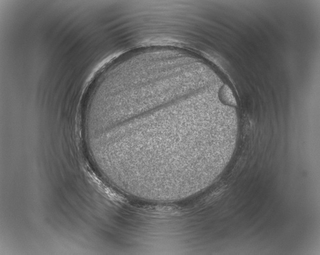 X0000080720979200701021050