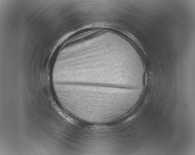 X0000080720981200701021050