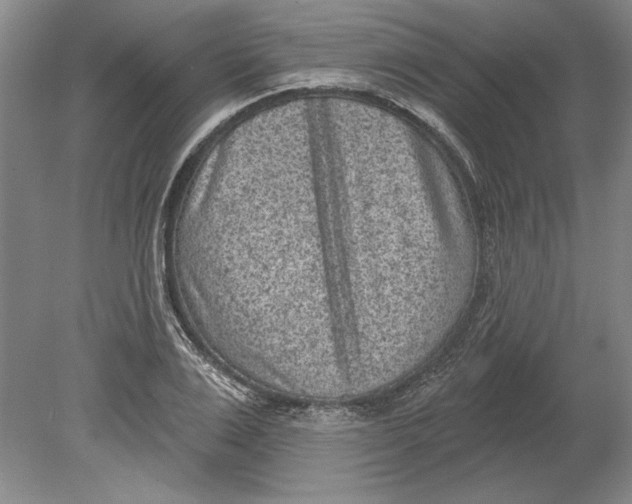 X0000080720983200701021050