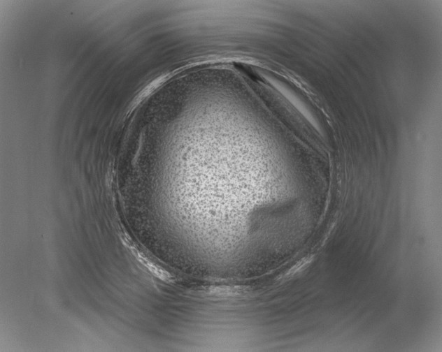 X0000080720985200701021050