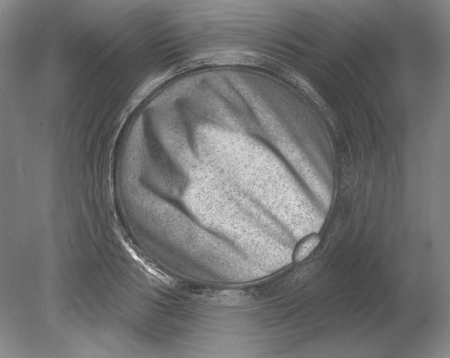 X0000080720986200701021050