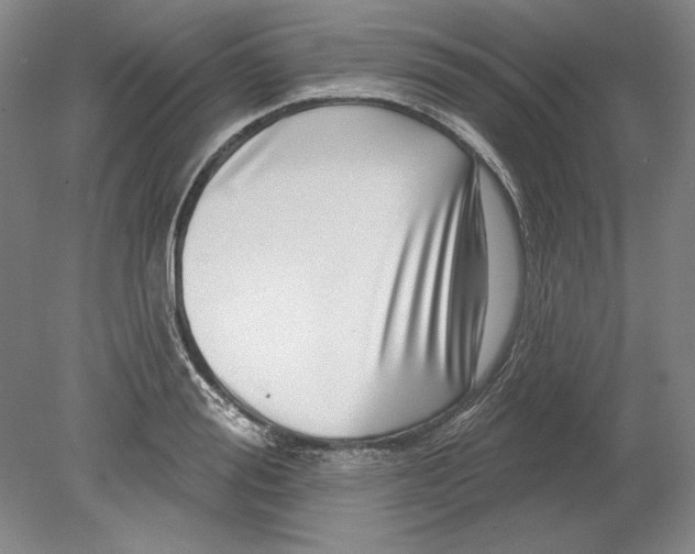 X0000080720988200701021049