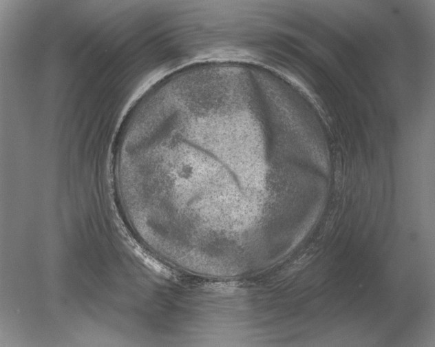 X0000080720990200701021049