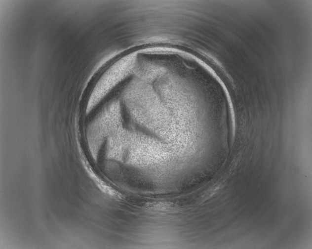 X0000080720991200701021049