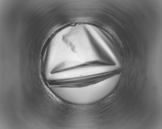 X0000080720992200701021049