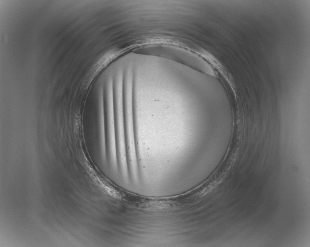 X0000080720993200701021049