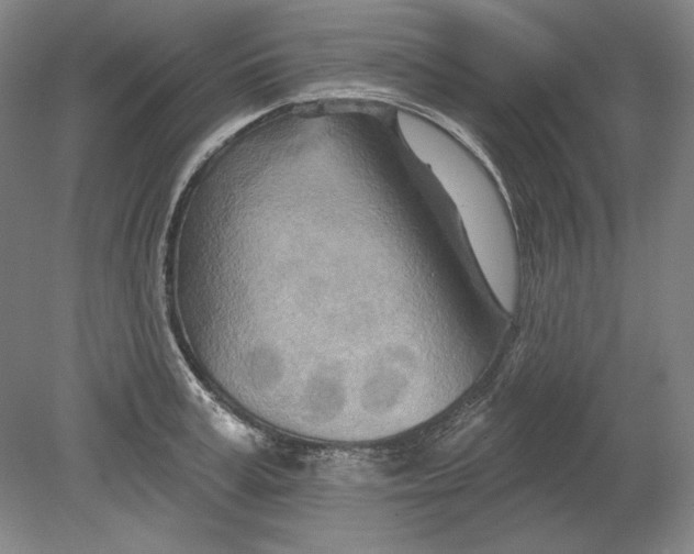 X0000080720995200701021049