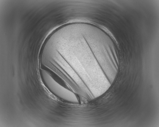 X0000080720996200701021049